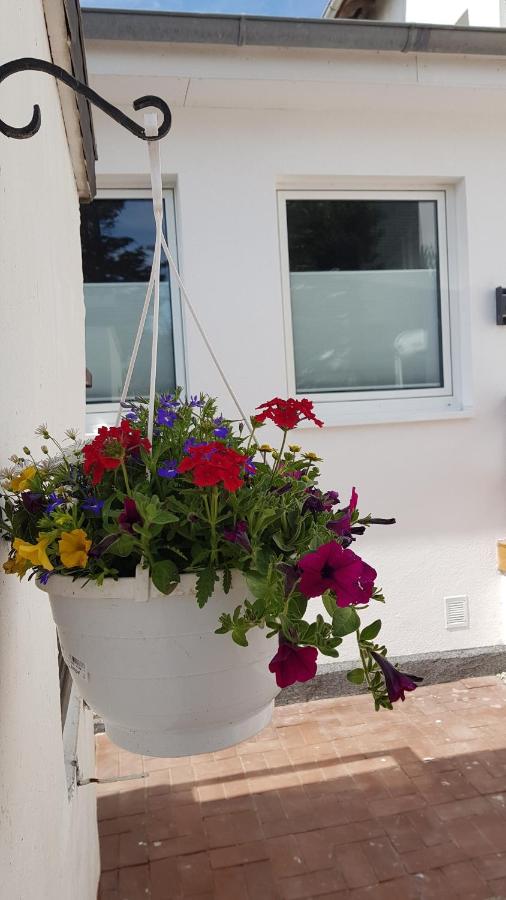 Apartamento con terraza 