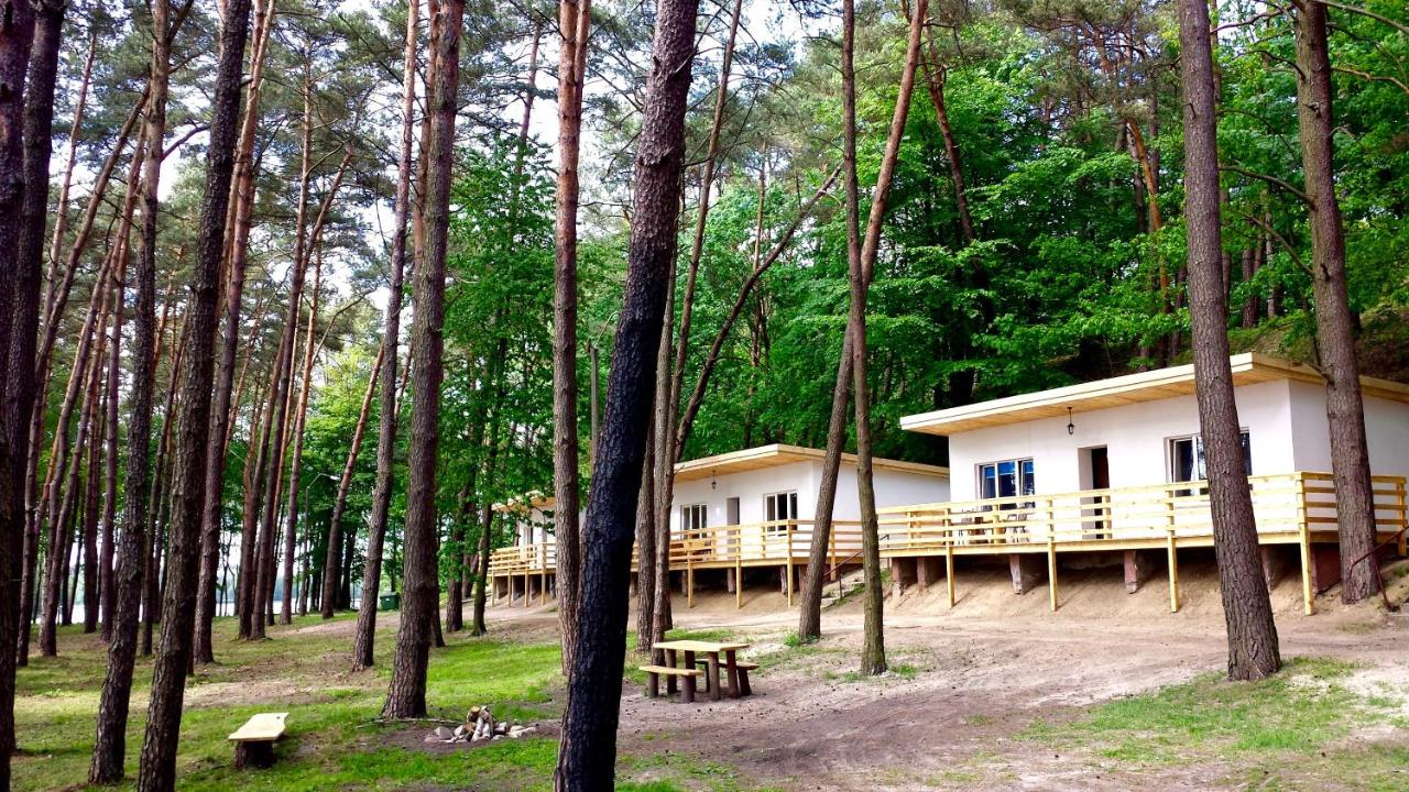 Jeleń