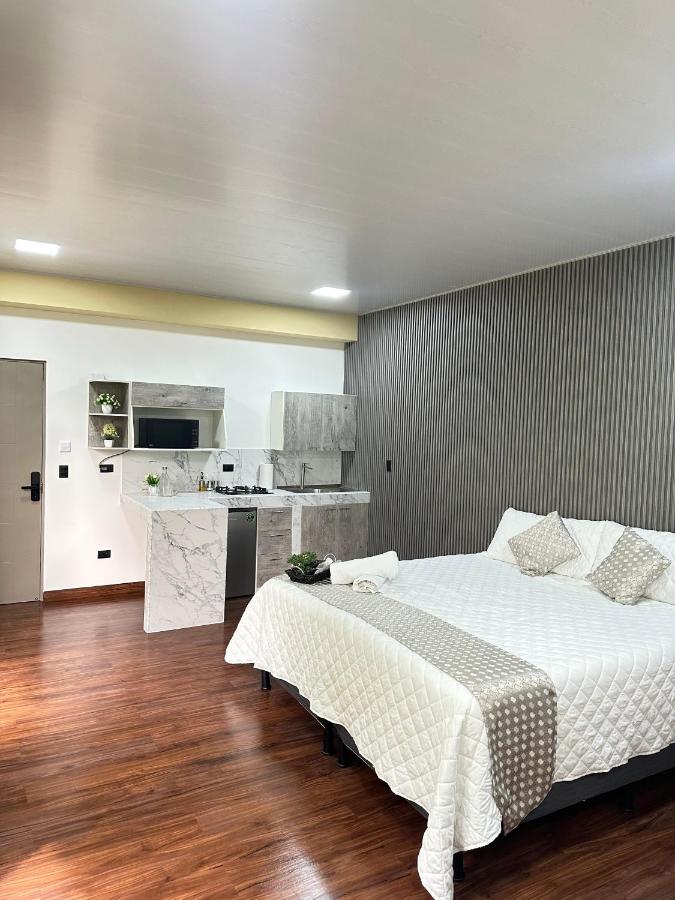 Estudio Deluxe con cama grande
