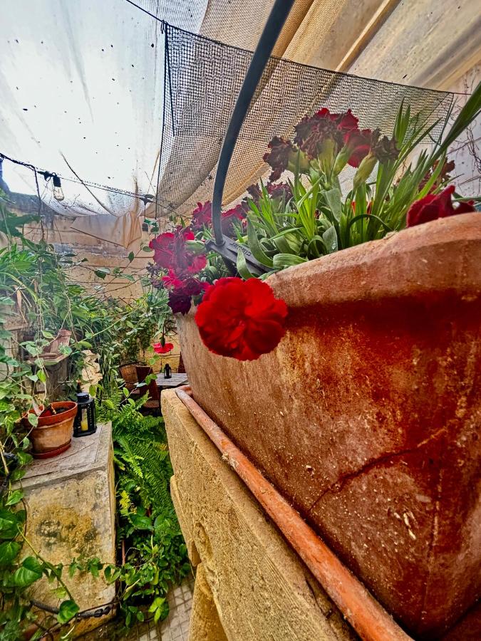 Lilac - Authentic Shared Maltese Home - B&B