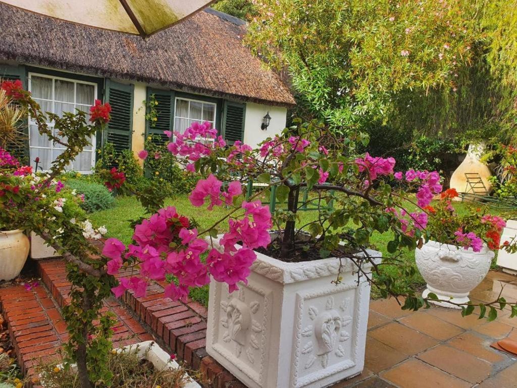 Meyerhof - B&B Cape Town