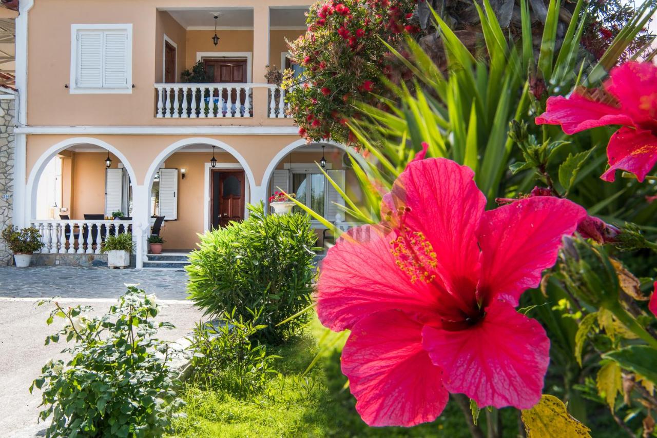 La Dolce Terra by "Elite" near Laganas Beach - Bed and Breakfast Pantokrátoras