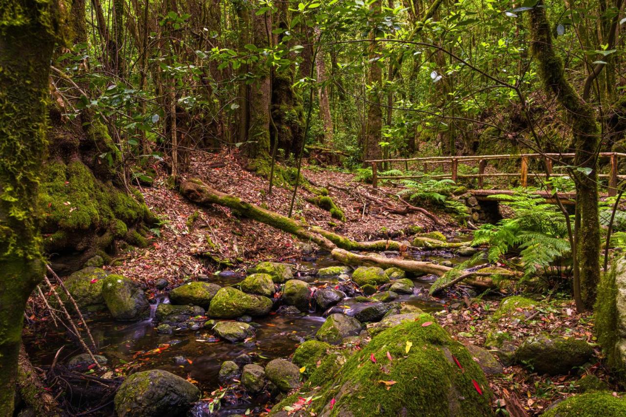 Casa Palmar-Nature Escape-Valle Gran Rey - Chambres d'hôtes Valle Gran Rey