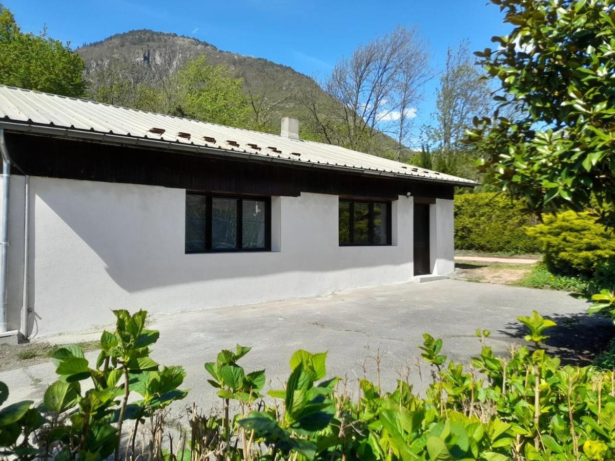 Le petit résineux - B&B