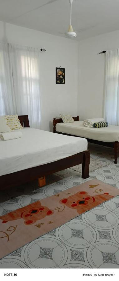 Appartement 1 Chambre