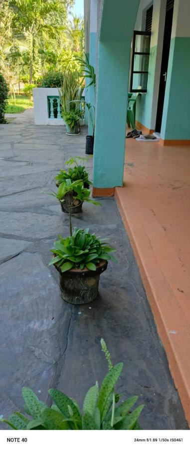 1 Bedroom Apartment - Ferienwohnung Malindi