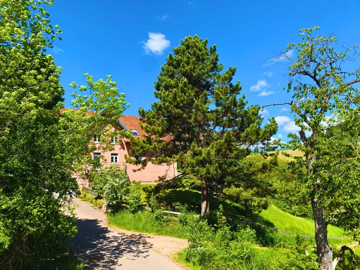 Stilvoll eingerichtetes Studio in historischem Bauernhaus, voll ausgestattet inmitten der Natur auf 75 qm - B&B Waldshut-Tiengen