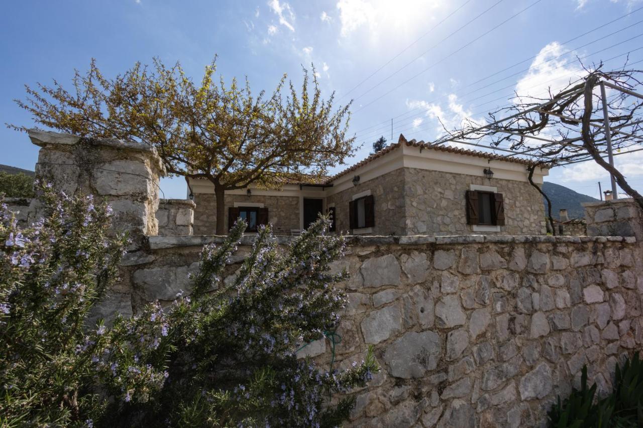 Olive Roots - Ferienwohnung Avgón