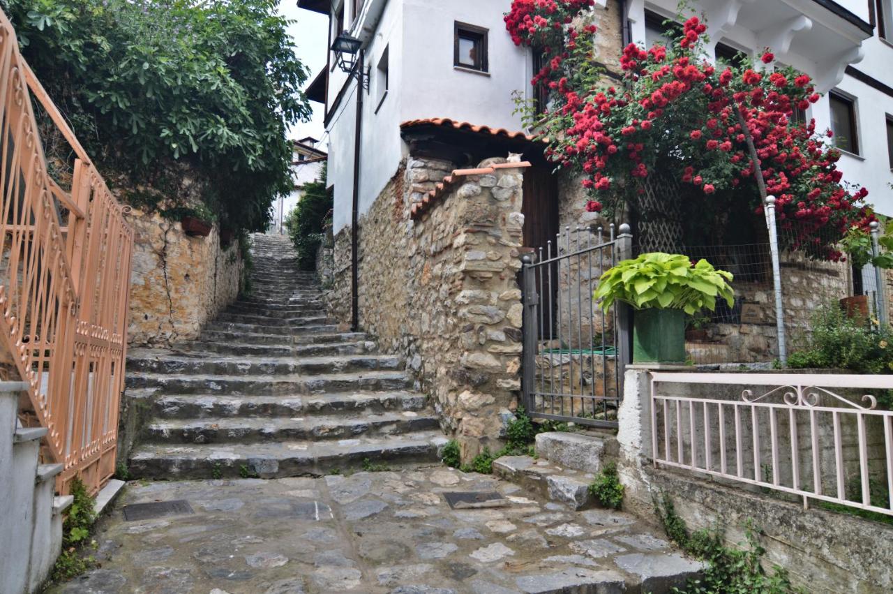 Camelia Luxury Apt - B&B
