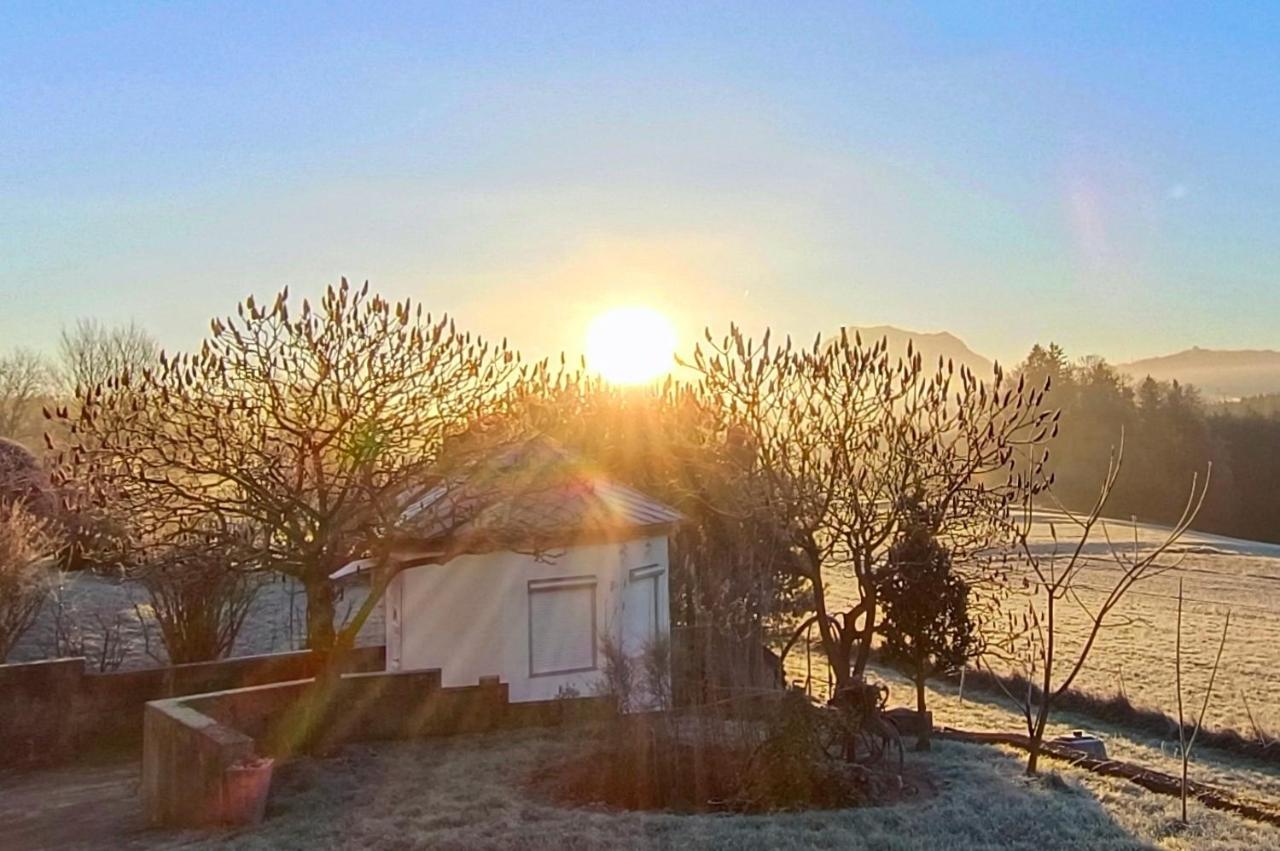 Single Tiny House Salzkammergut - B&B