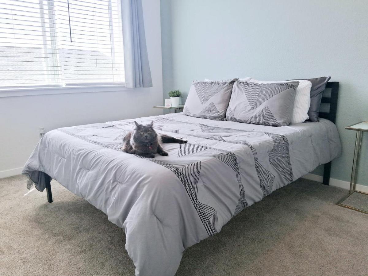 Suite Doble Deluxe - Cama grande