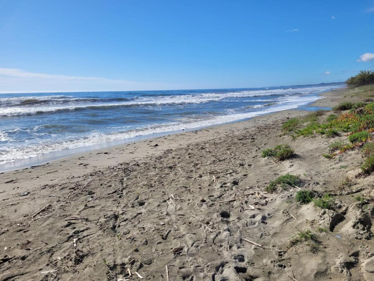 Mini villa au bord de la mer, proche Moriani (Corse) - B&B Poggio-Mezzana