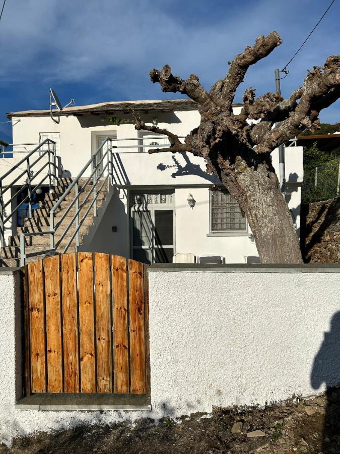 Papous house - B&B