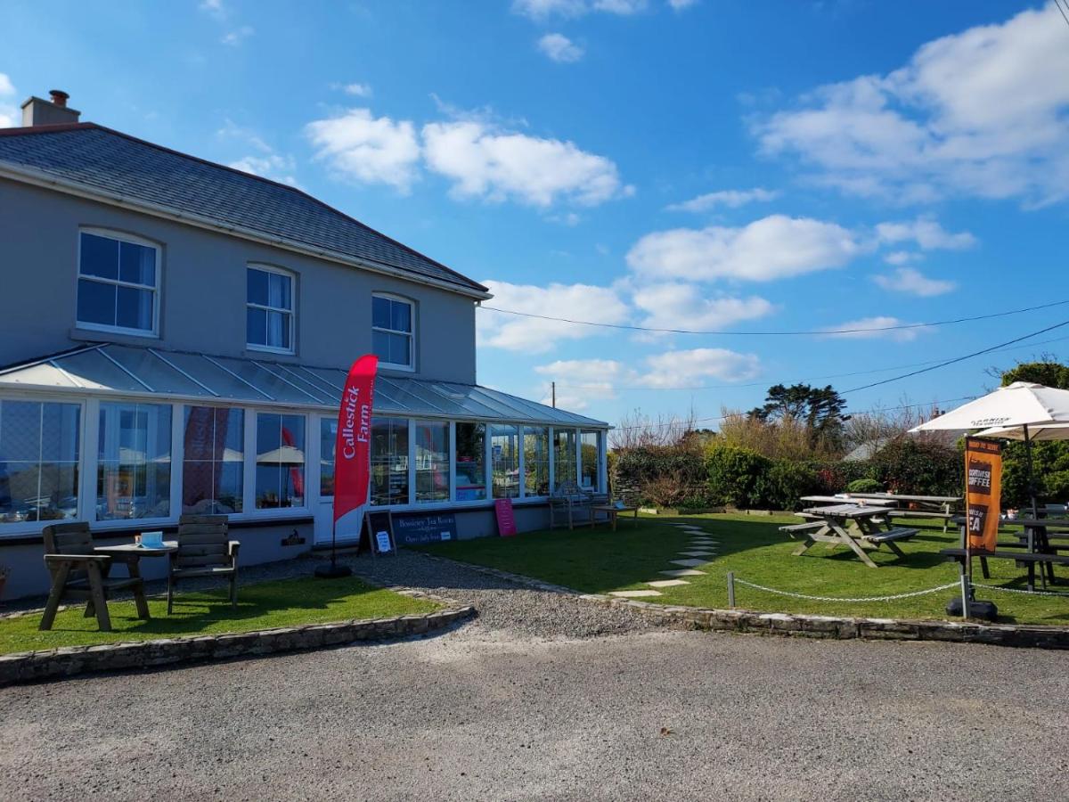 Bossiney Lodge Apartment - B&B Tintagel