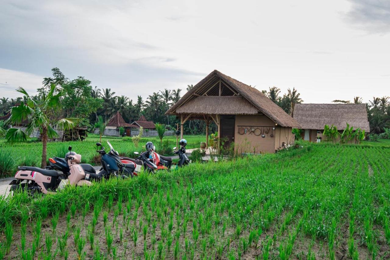 Pondok Mawas - B&B Ubud