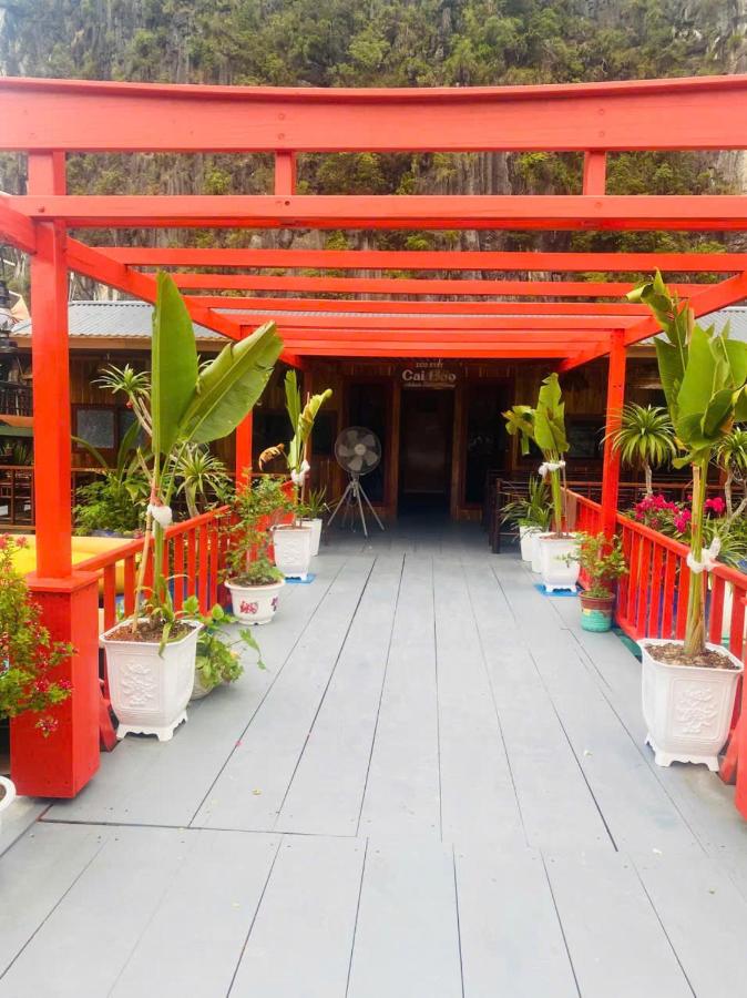 Eco Floating Stay Cai Beo - Bed and Breakfast