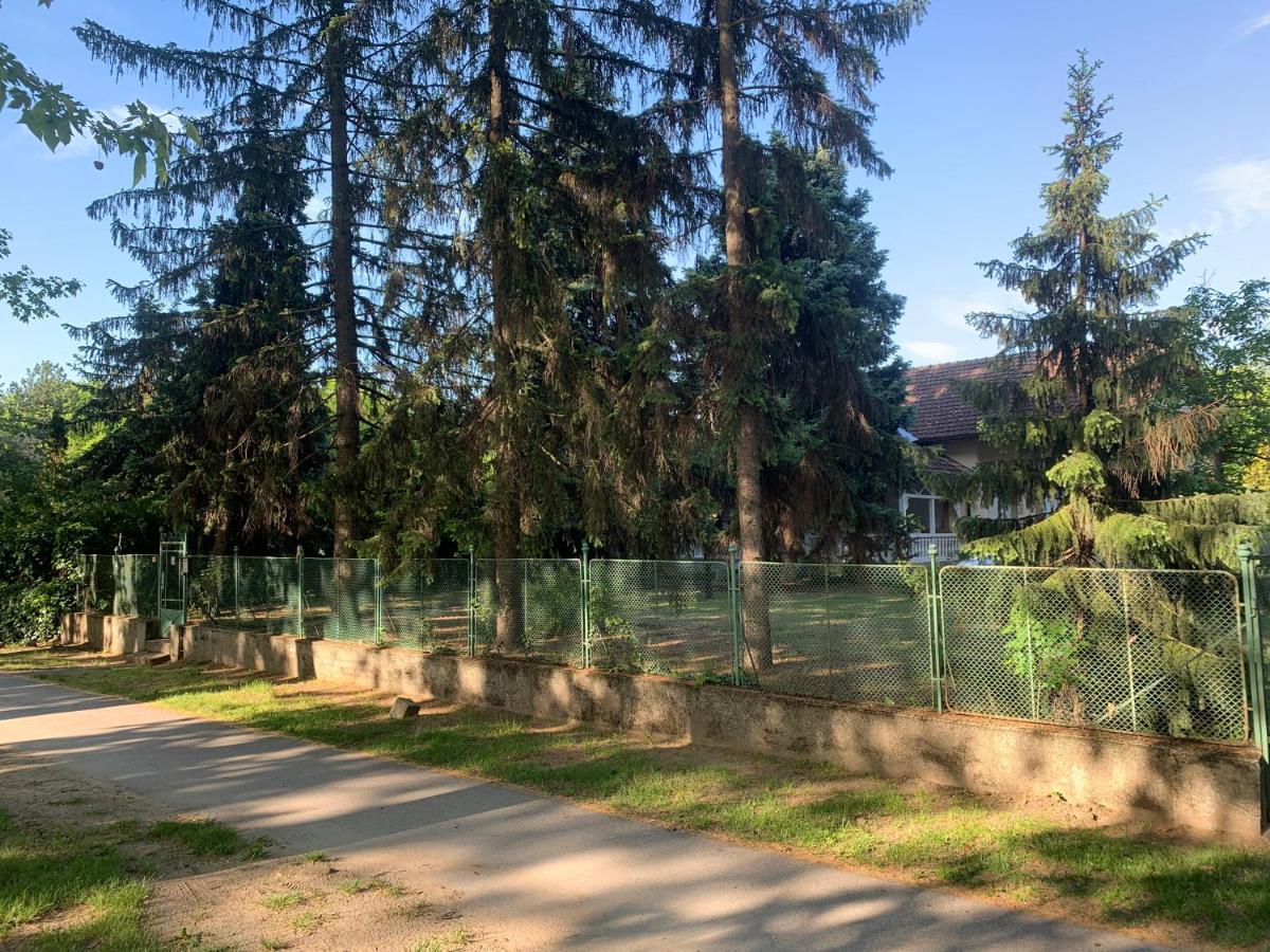 Platan I Apartman - B&B