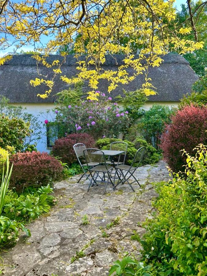 Little Thatch Lovely 2-Bed Near Weymouth - Bed and Breakfast