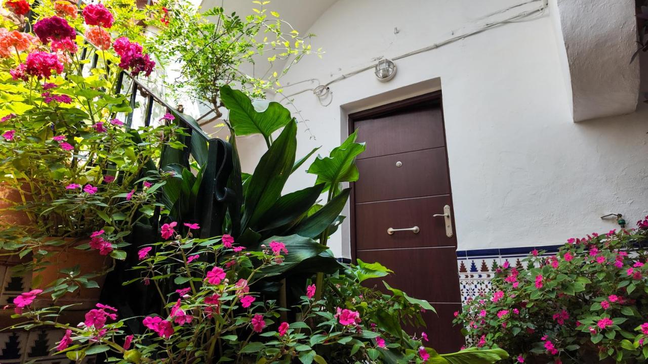 Apartamento Ipanema - Ferienwohnung Conil de la Frontera