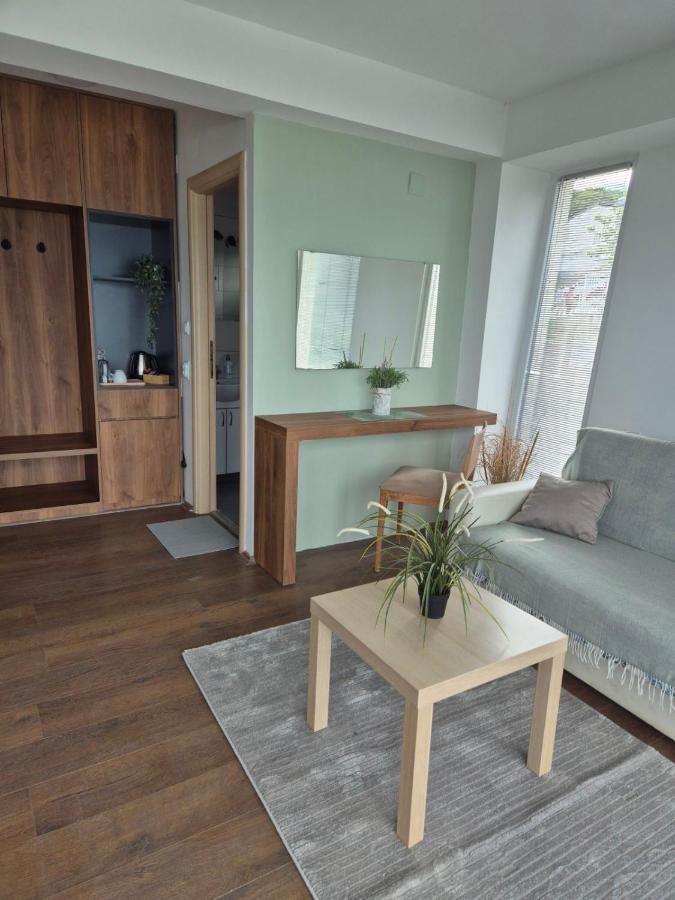 Appartamento con 1 Camera da Letto, Balcone e Vista Montagna