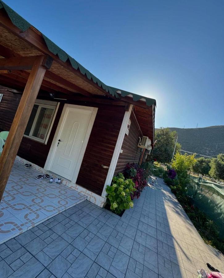 Villa Ajla - B&B