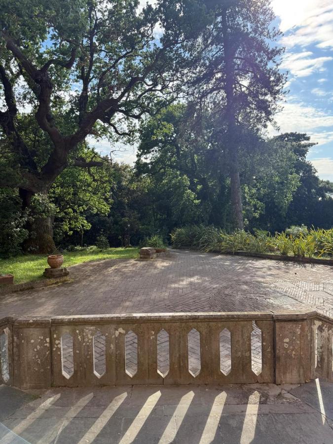 Al Castello da Nancy - 15 min from Positano - Bed and Breakfast Piano di Sorrento