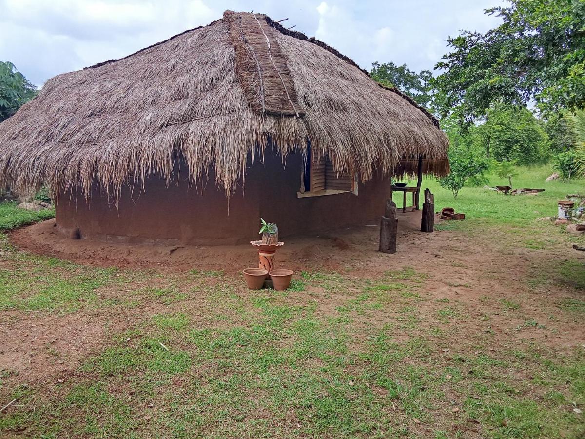 Nature Kingdom Sri Lanka - B&B