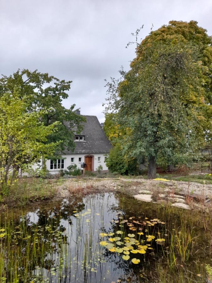 Eifel Panorama - B&B Speicher