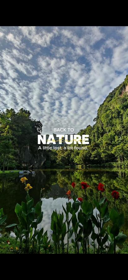 Magnificent Mountain & Lake Views' Suite Cycas - Bed and Breakfast Kampong Batu Lapan