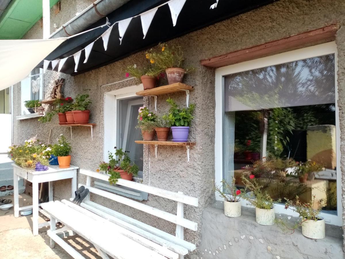 Rustic Village Retreat - B&B Veliko Tărnovo