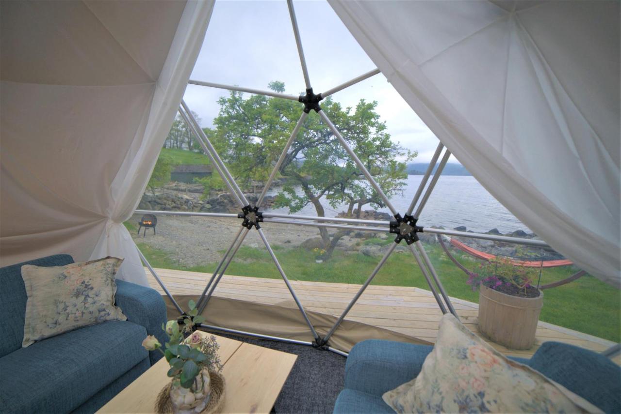 Kleppa Gard & Glamping - B&B Hjelmeland
