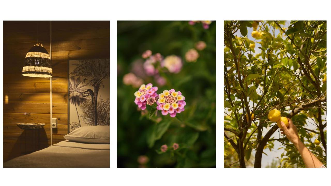 Chambre Double - Vue sur Parc