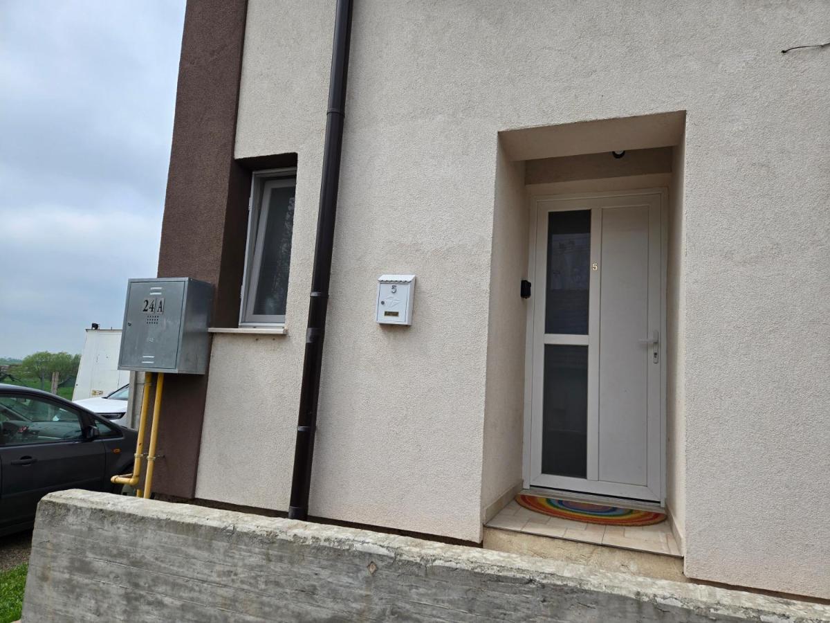 Casa de la Sanandrei, 10 min to Timisoara - Ferienwohnung Sânandrei