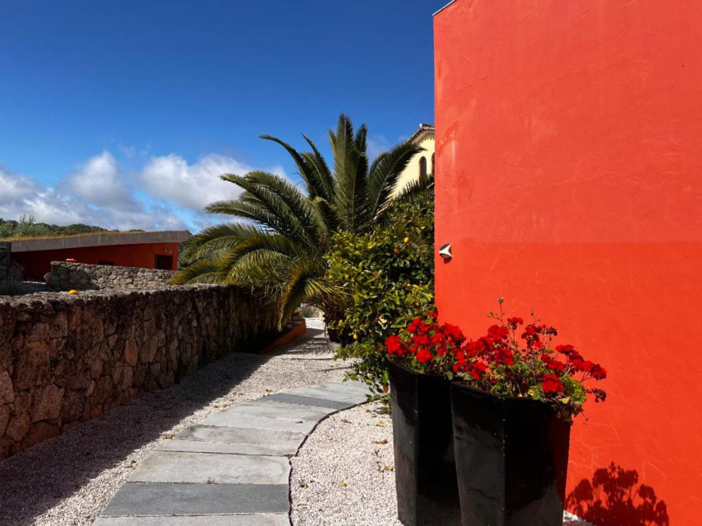 Casa Amor - Chambres d’hôtes Castelo de Vide