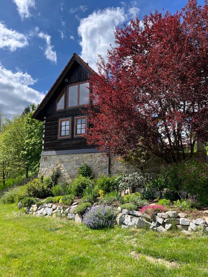 Do roubenky - B&B