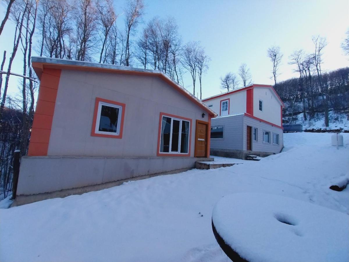 Valle del Olivia Cabaña Pescador - Ferienwohnung Ushuaia