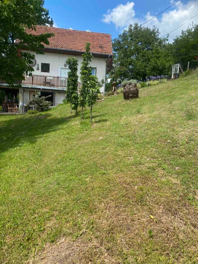 Etno vikendica Miokovci - B&B