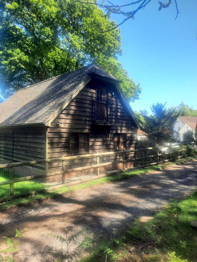 The Barn at Creech View - B&B