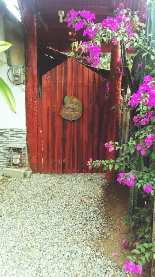 Hostel Cattleya - B&B