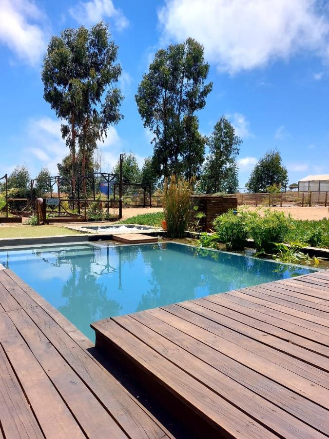 Parcela en condominio entre Concon y Maitencillo - Bed and Breakfast