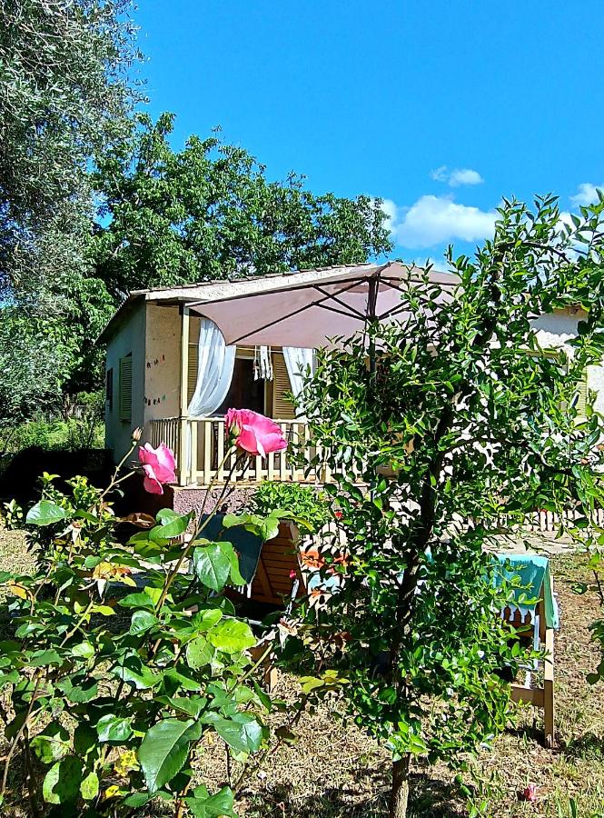 Elia House - Ferienwohnung Perítheia