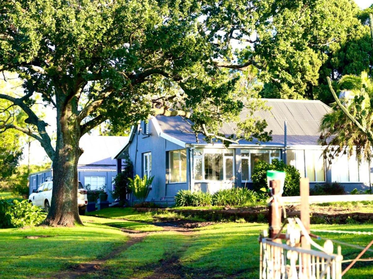 Bush Creek Guest House - B&B Mooirivier