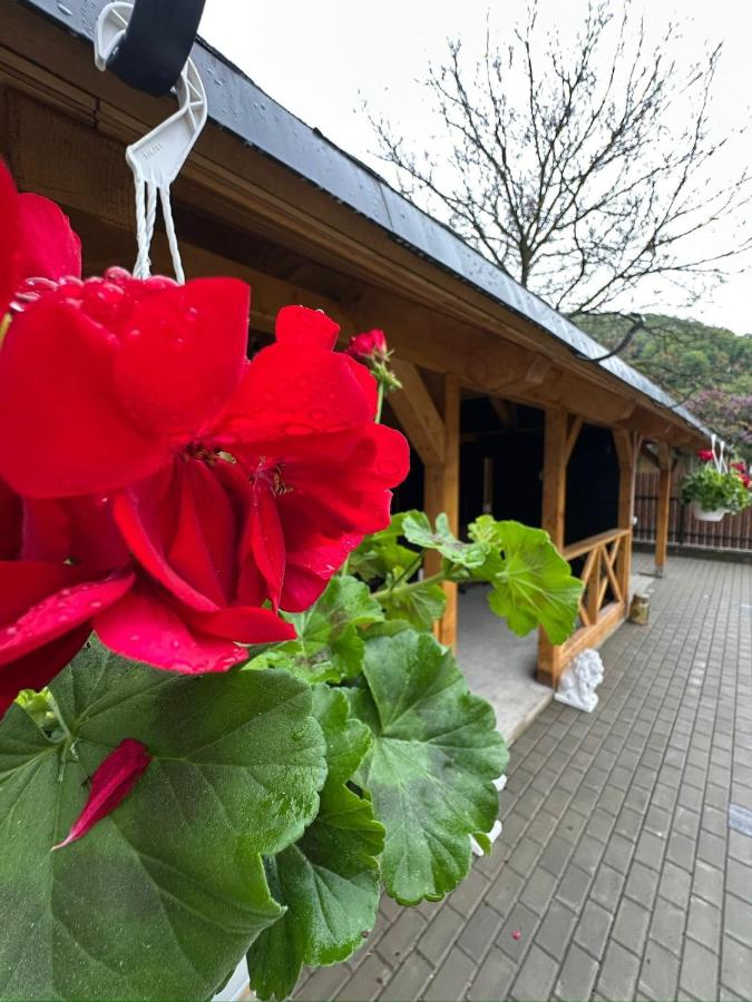 Casa Luminița - B&B Vama Buzăului
