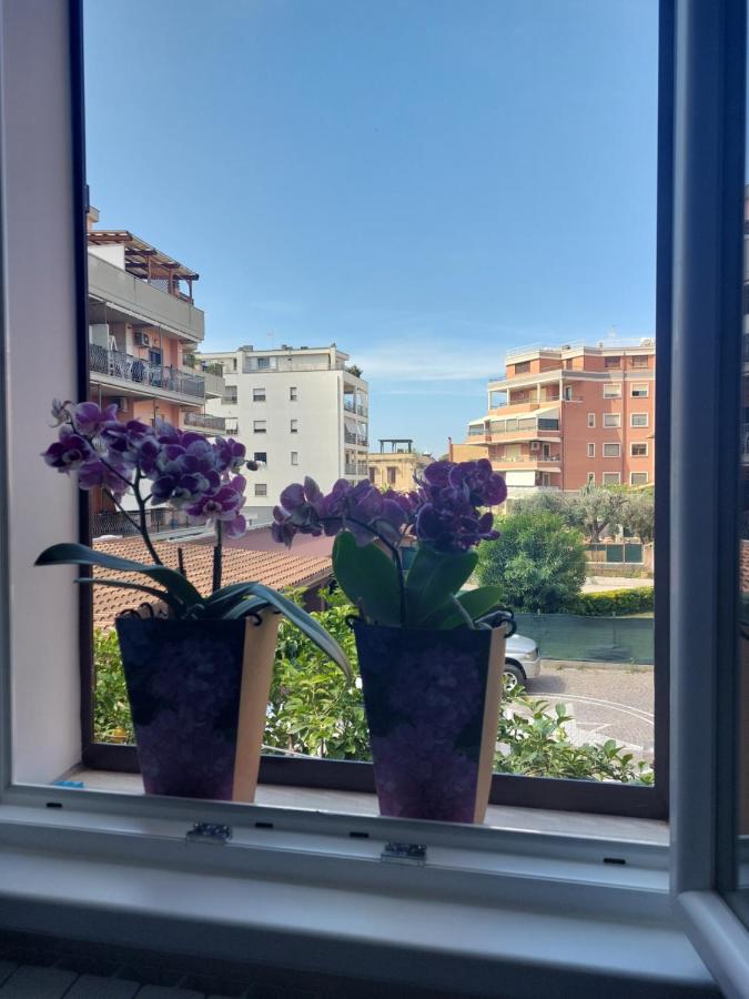 Civitavecchia Peacocks Apartment - B&B