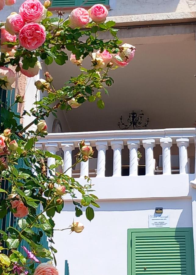 Dolci risvegli appartamento vista mare - Ferienwohnung Ventimiglia