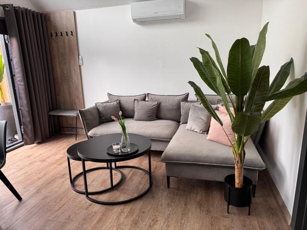 Maison 1 Chambre
