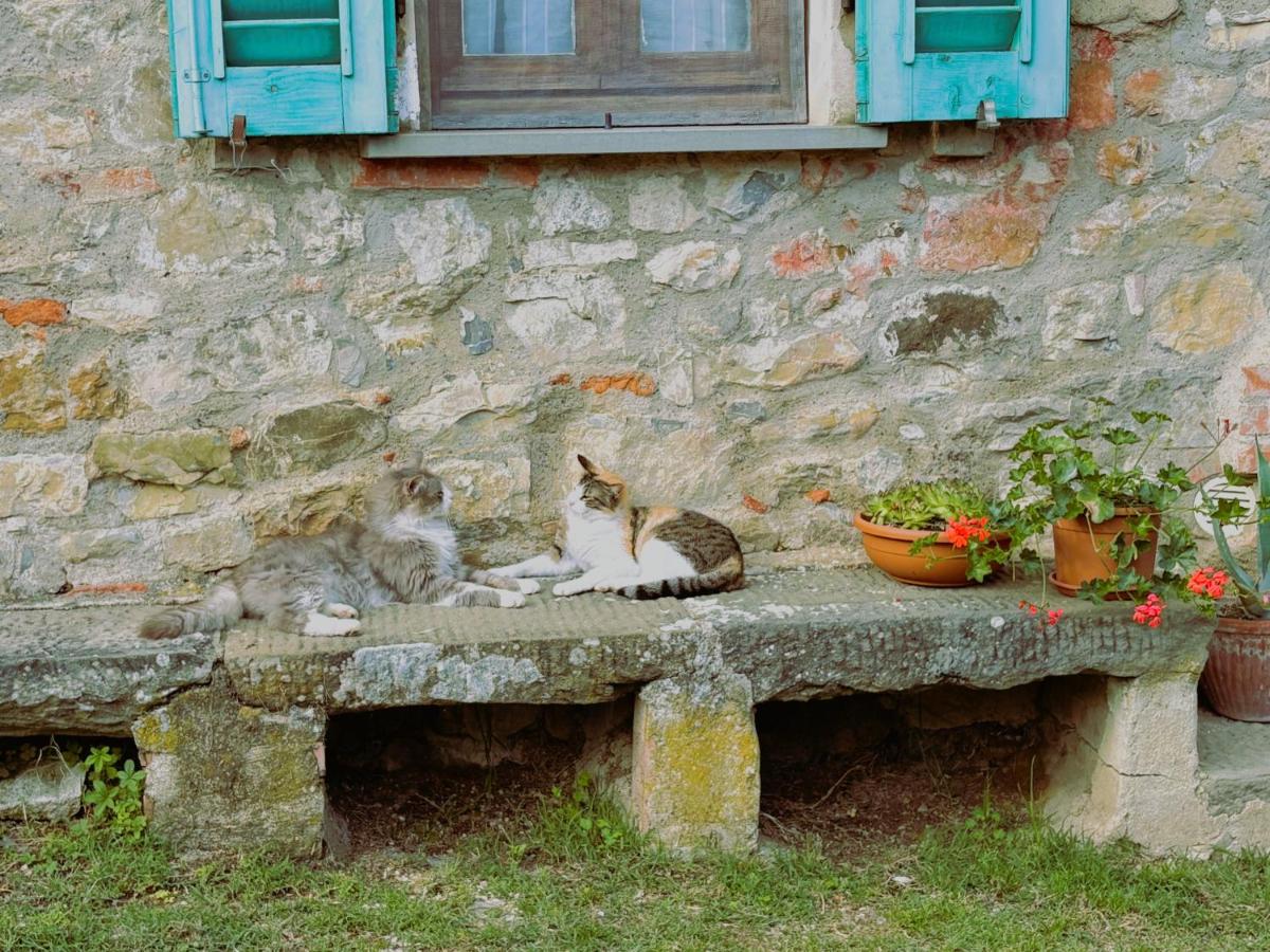 Casa Lina - Bed and Breakfast