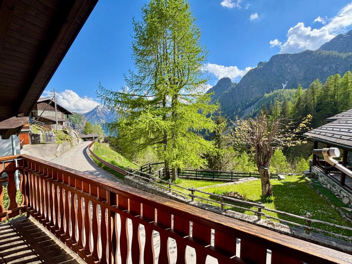 Chalet Caldo & Accogliente a Cheggio "Obrigado House" - Bed and Breakfast Alpe Cheggio