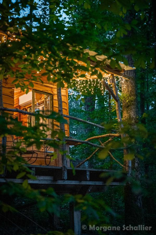 La cabane aux écureuils - Chambres d’hôtes Philippeville