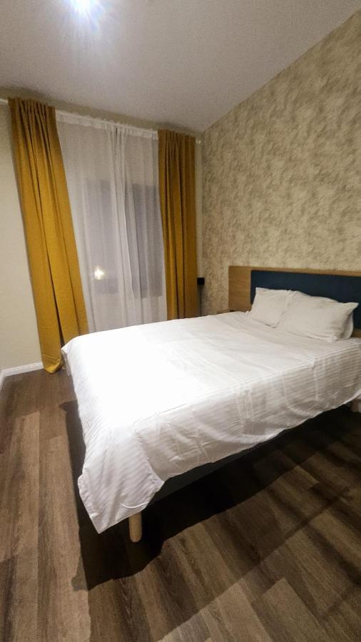 Deluxe One-Bedroom Apartment